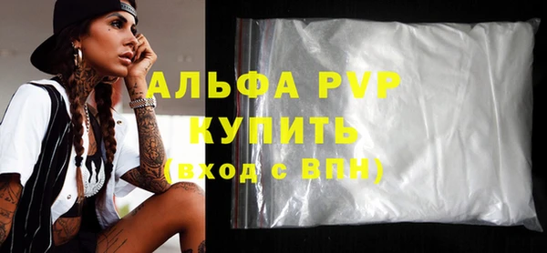 прущий лед Вяземский