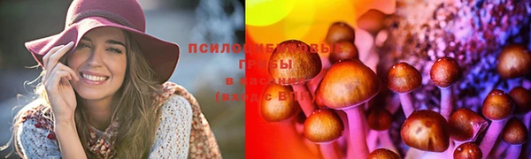 стафф Вязники