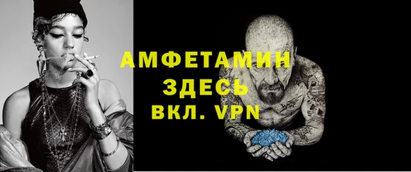 прущий лед Вяземский