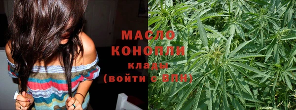 прущий лед Вяземский