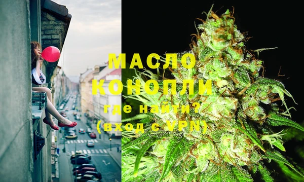 прущий лед Вяземский