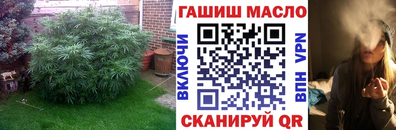 ТГК концентрат  hydra рабочий сайт  Дмитриев 