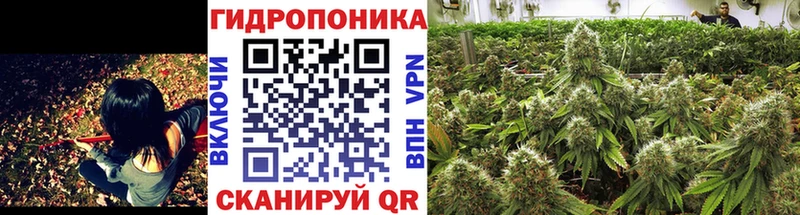 Бошки Шишки индика  как найти   Дмитриев 
